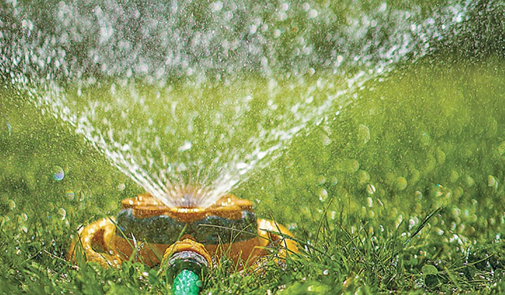 Further water conservation urged as dry conditions continue in Grand River watershed post image