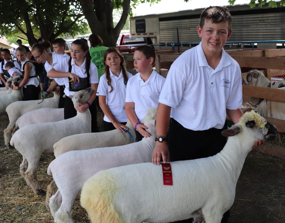 Drayton Fair kicks off return of in-person agricultural exhibitions in northern Wellington post image