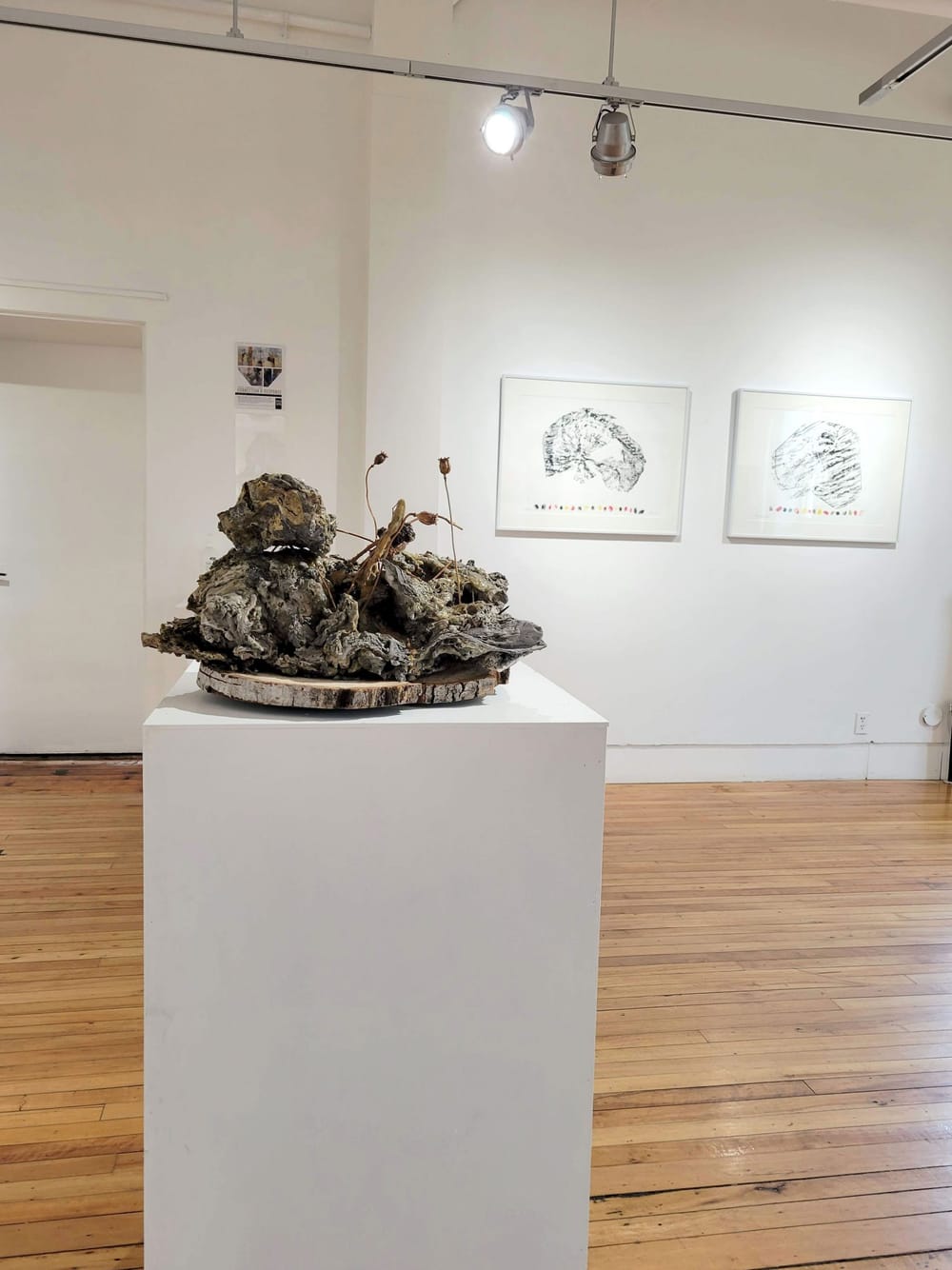 New gallery exhibition emphasizes importance of sense of connection post image