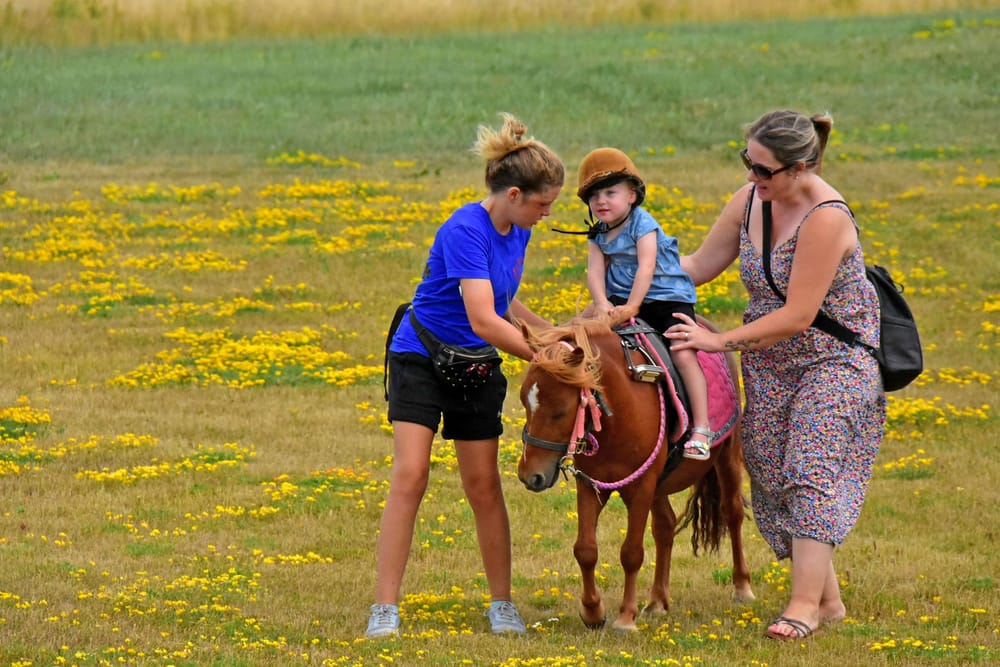 Family fun at Grand River Raceway's Industry Day post image