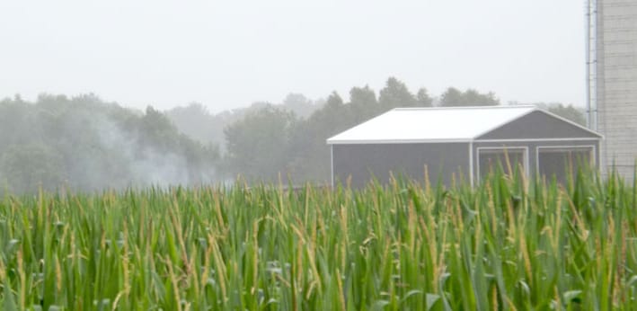 Eighty cattle lost in fire at Wellington North dairy barn post image