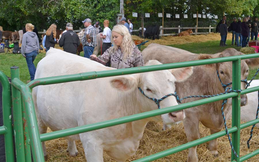 Fergus Fall Fair has games, animals, tractor pulls – fun for everyone post image