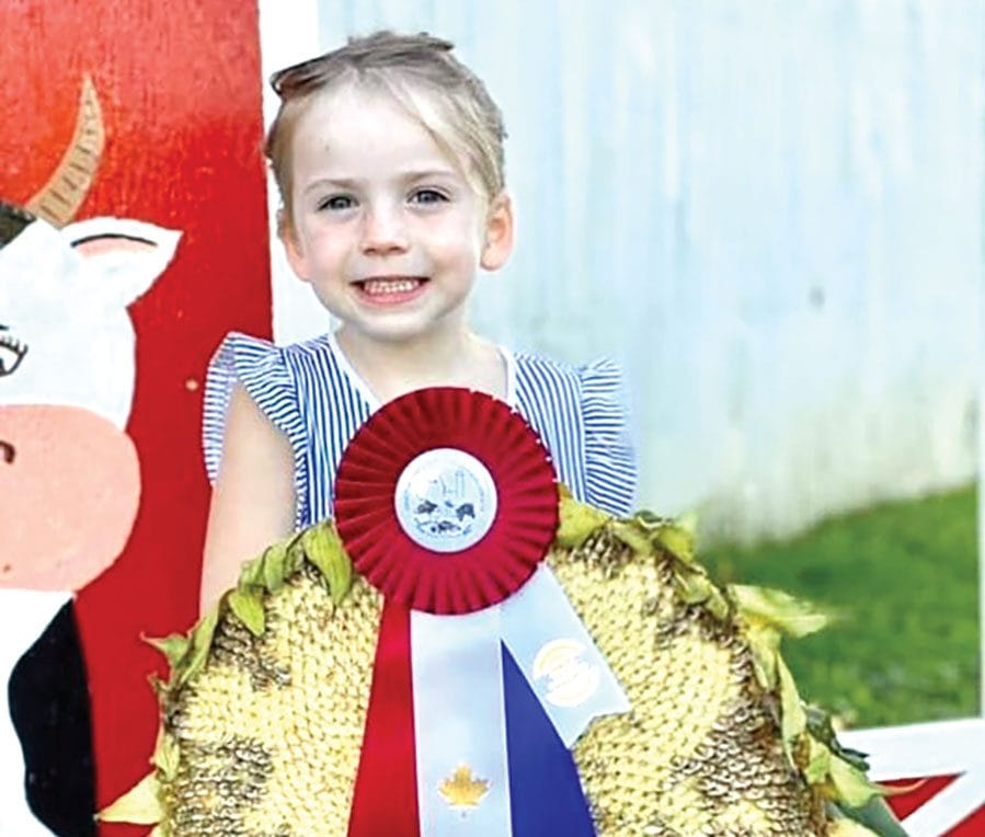 Drayton’s Fall Harvest Festival returns Oct. 1 post image