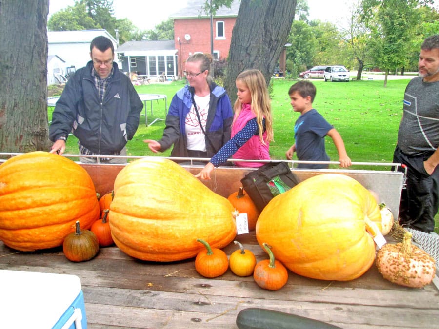 Metz Pumpkinfest this weekend post image