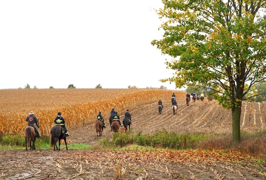 Hooves for  Hospice returns  for fifth year on  October 15 post image