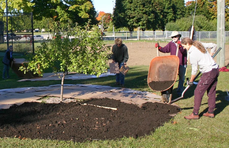Food Forest Centre Wellington breaks ground at pilot site in Fergus post image