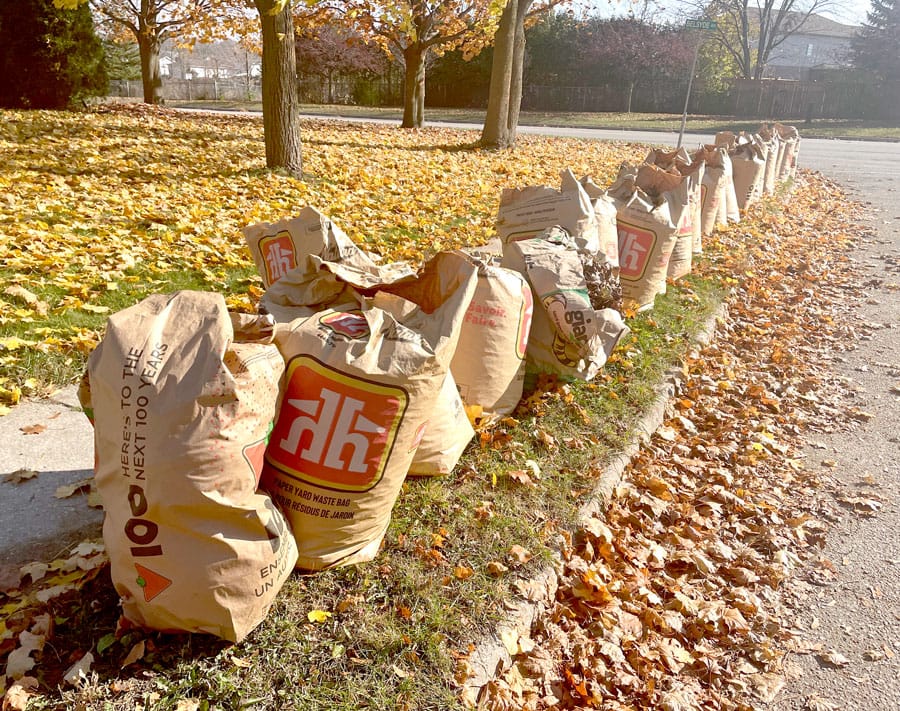 County anticipates increase in waste, recycling collection costs post image