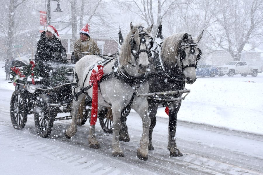 Peace on Earth theme of Alma Santa parade post image