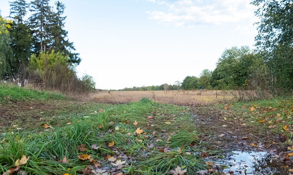 Settlement reached in Jones Baseline Ontario Land Tribunal appeal post image