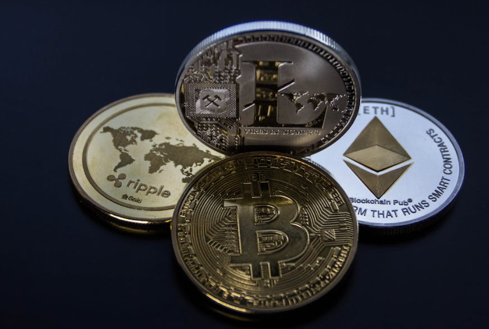 Wellington North resident bilked of $500,000 in cryptocurrency scam post image