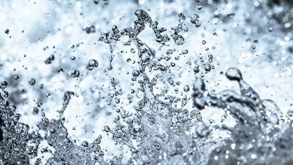 Source water risk management plans being negotiated in Wellington North past deadline post image