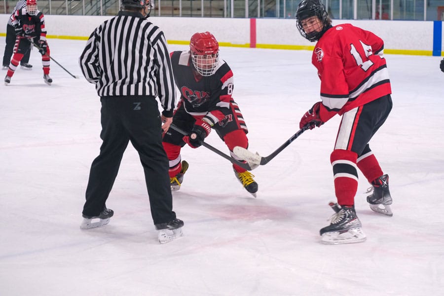 CWDHS Falcons fall to Norwell in District 10 semi-finals post image