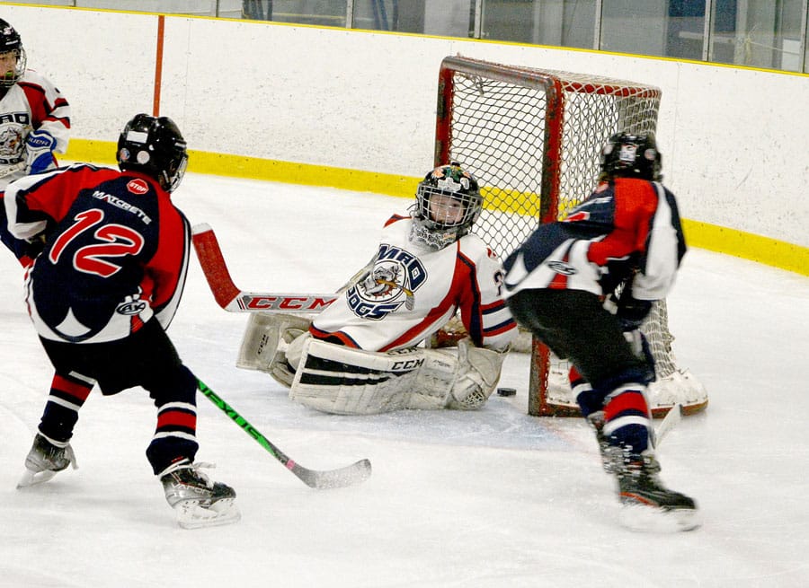 Minto Mad Dogs U13LL end WOAA Silver South Group playoff in a tie post image