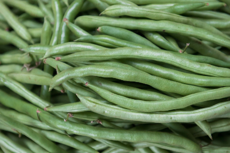 Mount Forest Community Garden will let residents grow own food post image