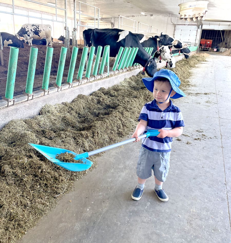 Taste Real Spring Rural Romp highlights local county lifestyle post image