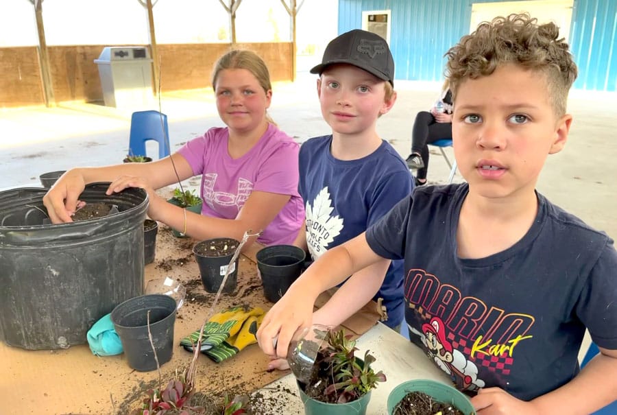 Let it Grow program teaches students about horticulture post image