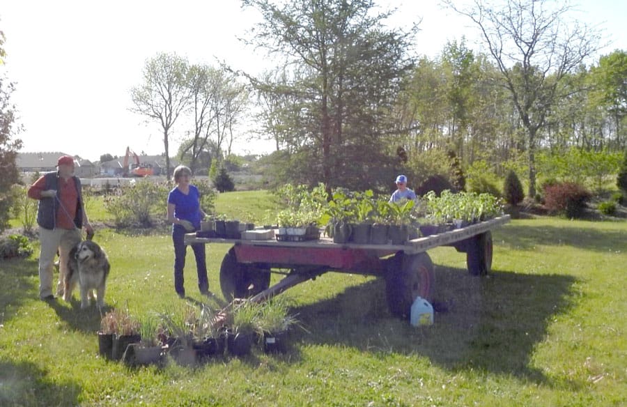 Successful plant sale fundraiser for the Mount Forest Horticultural Society post image