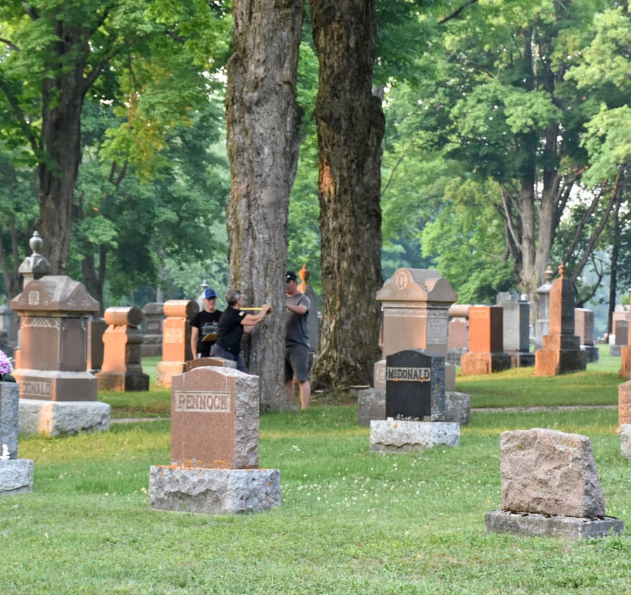 Mount Forest Green Team conducting tree inventory post image