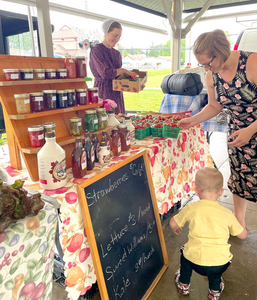 Strawberry Social offers taste of summer post image