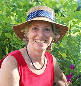 SCOTT, Denise Lorraine (Green) post image