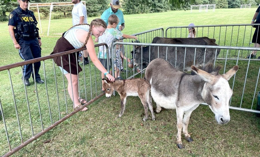 Drayton Fair kicks off season of local agricultural exhibitions post image
