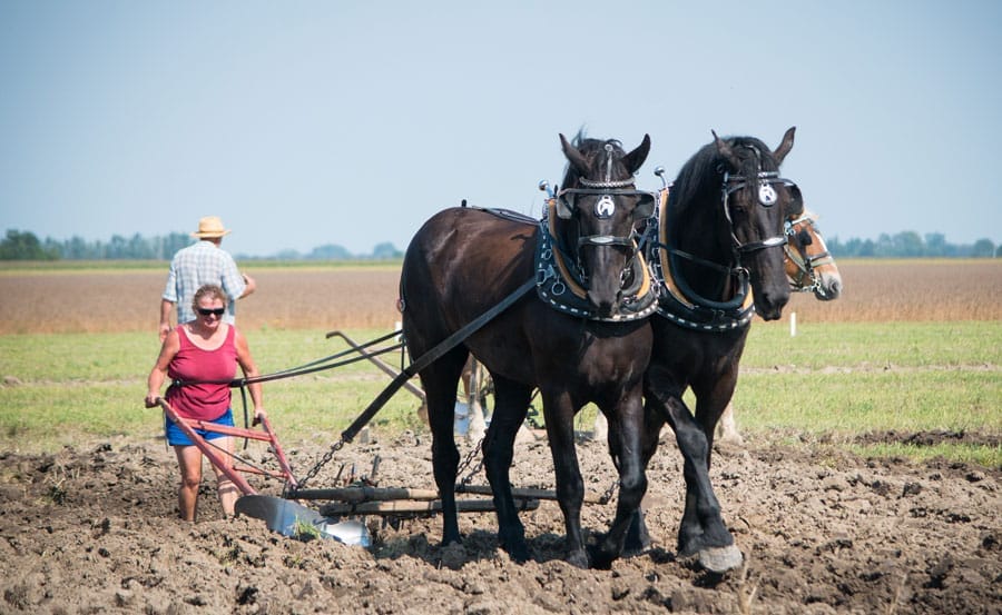International Plowing Match and Rural Expo  coming to Dufferin County from Sept. 19 to 23 post image