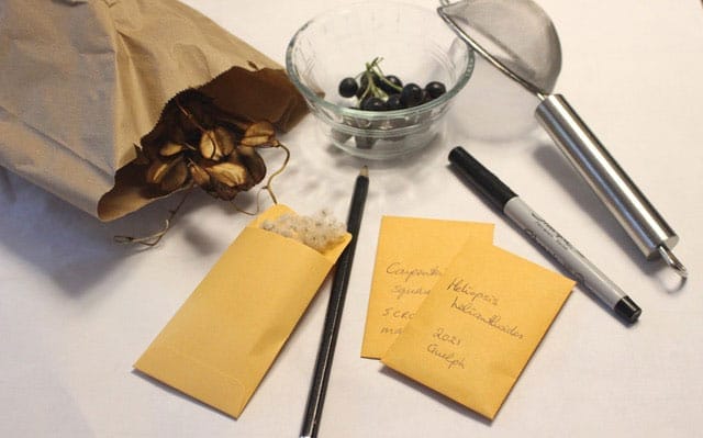 Harvest the food, then harvest the seeds post image