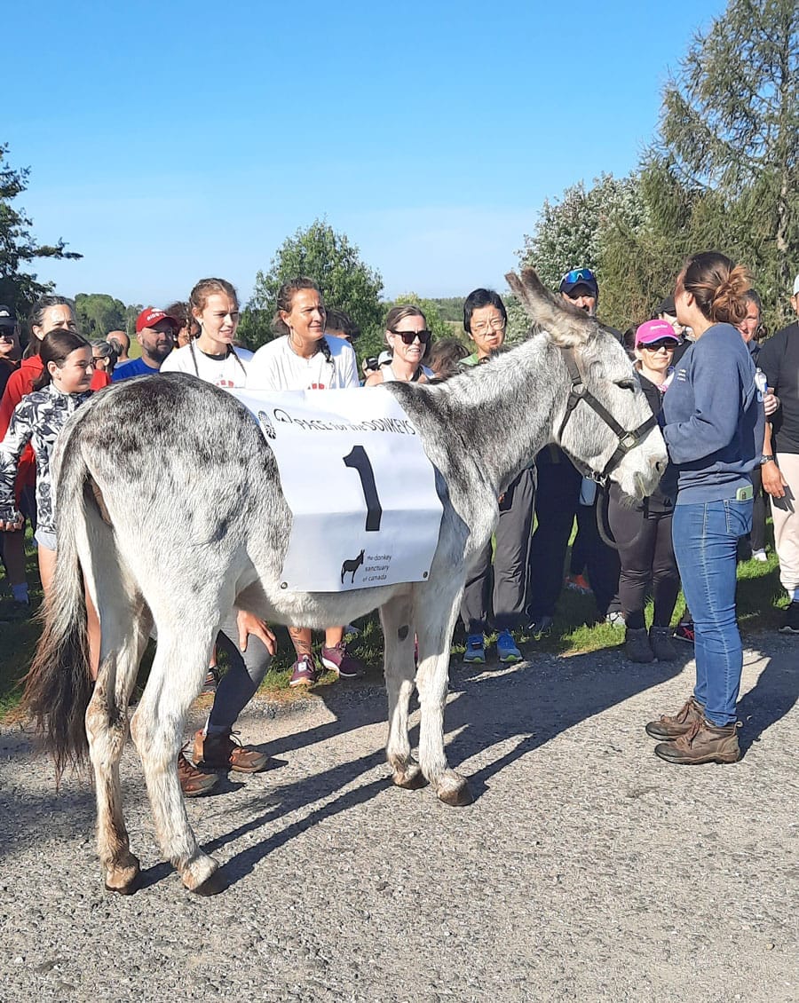 PACE for the Donkeys 5K Trail Run post image