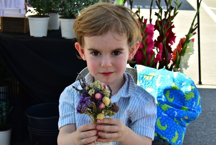 New lavender festival set for June 22 post image