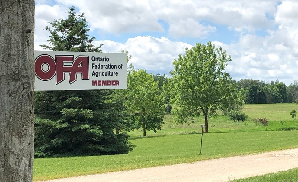 WFA urges county to consider impact of agriculture in policy decisions post image