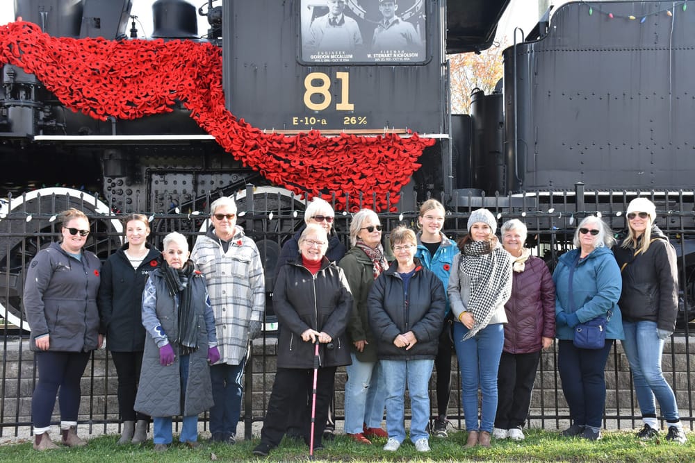 Poppy Project unveiled in Palmerston post image