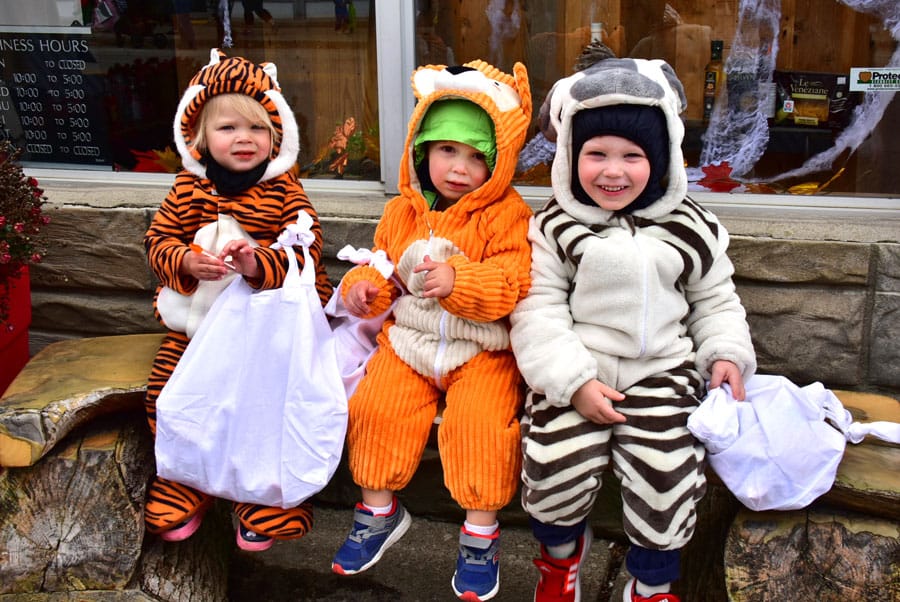 Let the haunting begin post image