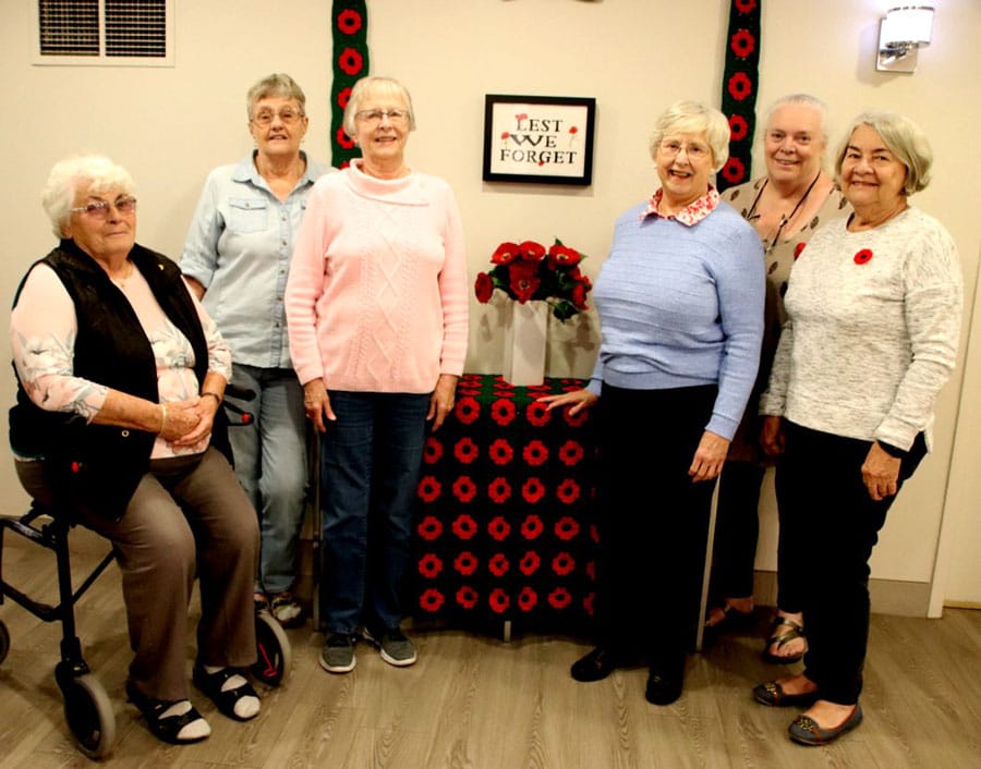 Elora poppy project replanted post image