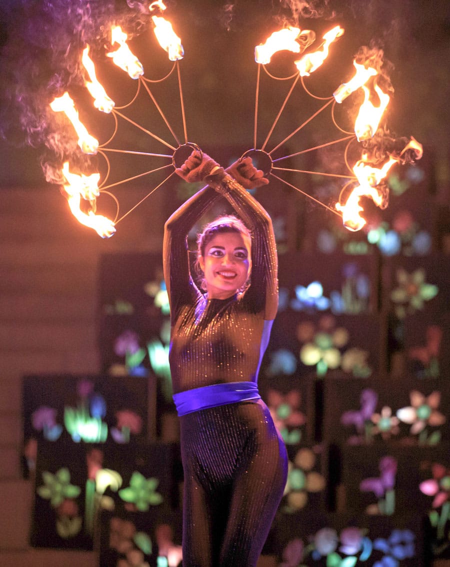 Fire and Ice Family New Year’s Eve celebration planned in Palmerston post image