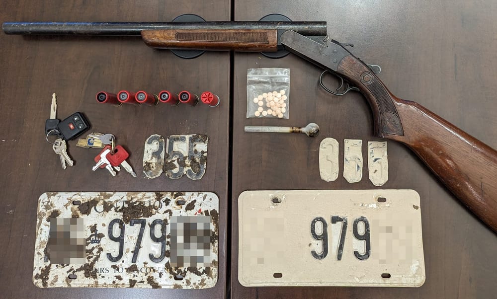 Welland man faces weapon, driving charges after vehicle stolen post image