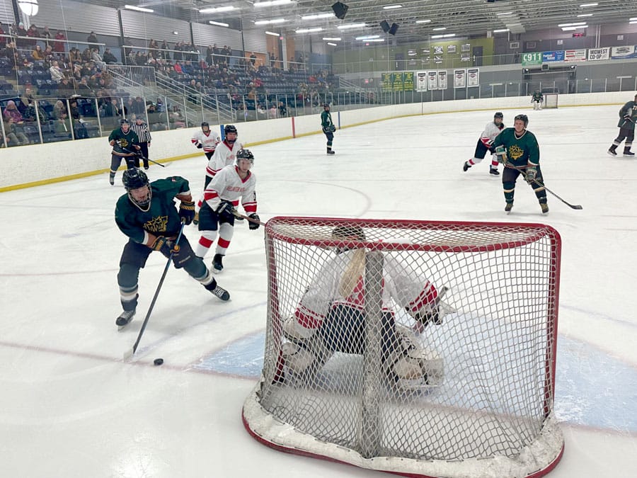 Wellington North Fire Service faces off against Patriots Alumni in charity hockey game post image