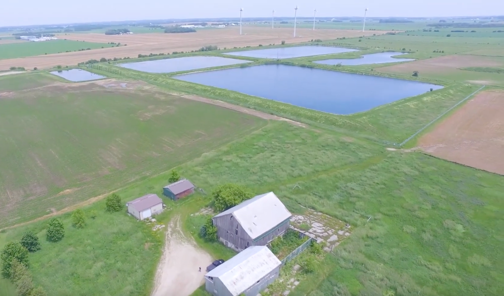 Wellington North council approves $700,000 land purchase in Arthur post image