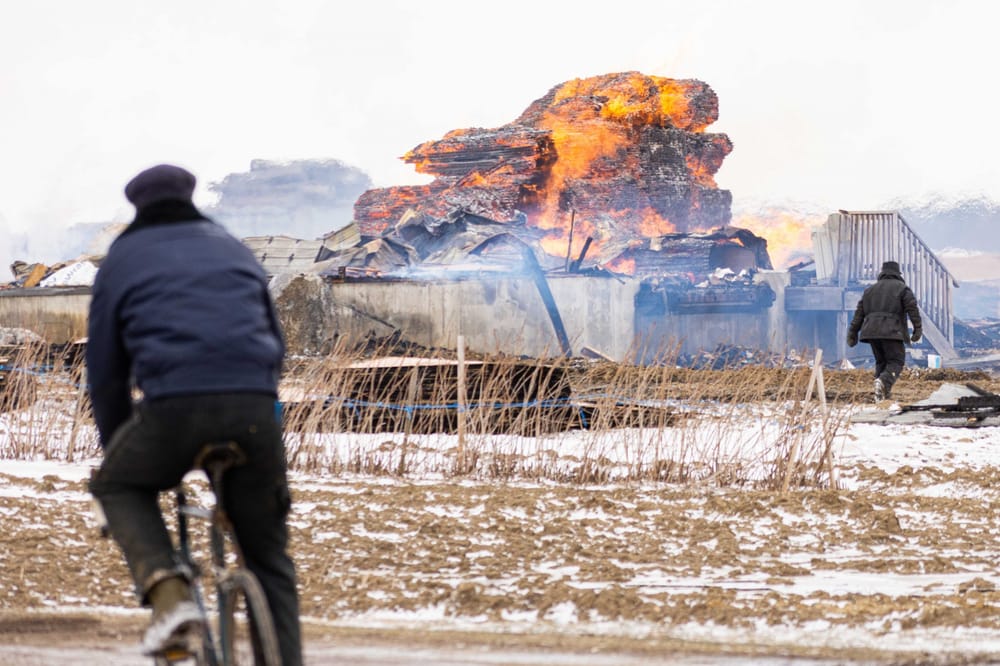 Destroyed Wellington North sawmill to make big comeback post image