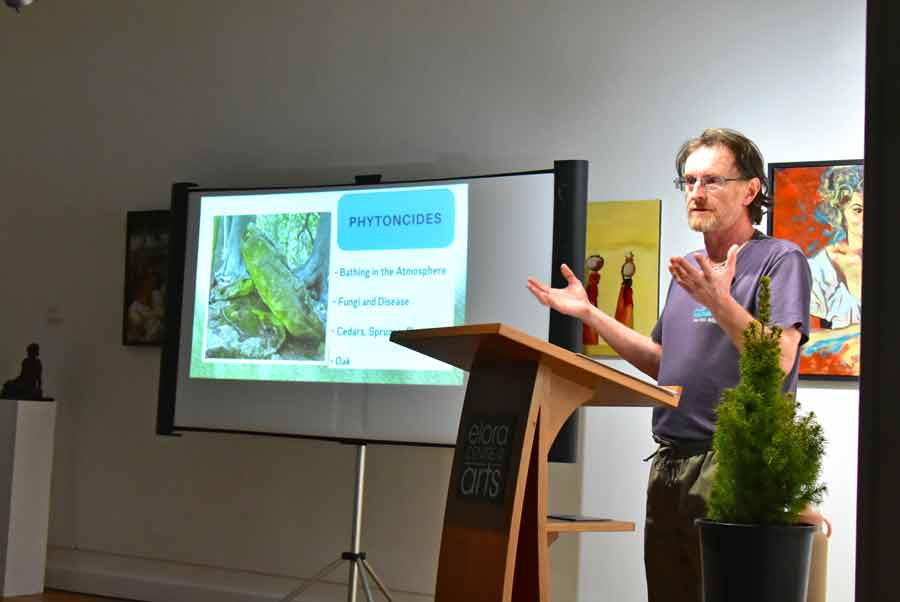 Forest bathing workshop at Elora Centre for the Arts post image
