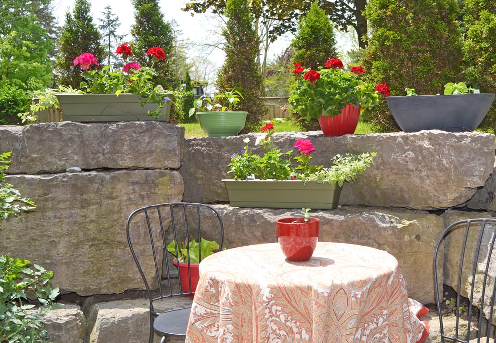 Tips for the novice gardener post image