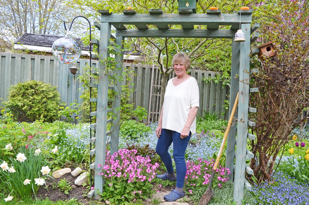 Ann Ironside: What to do when you fail at retirement post image