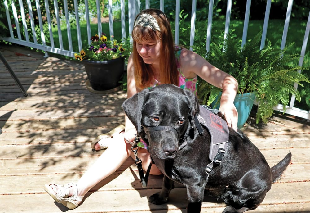 Service dog a ‘Delight’ and friend to Fergus woman post image
