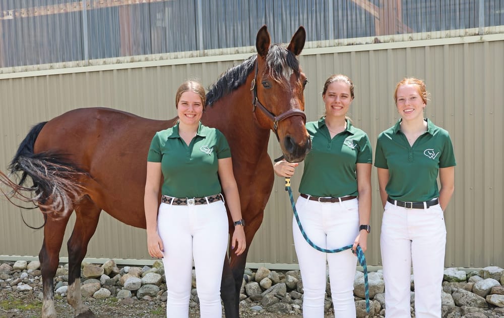 Local riders to showcase horse-breeding knowledge at Denmark competition post image