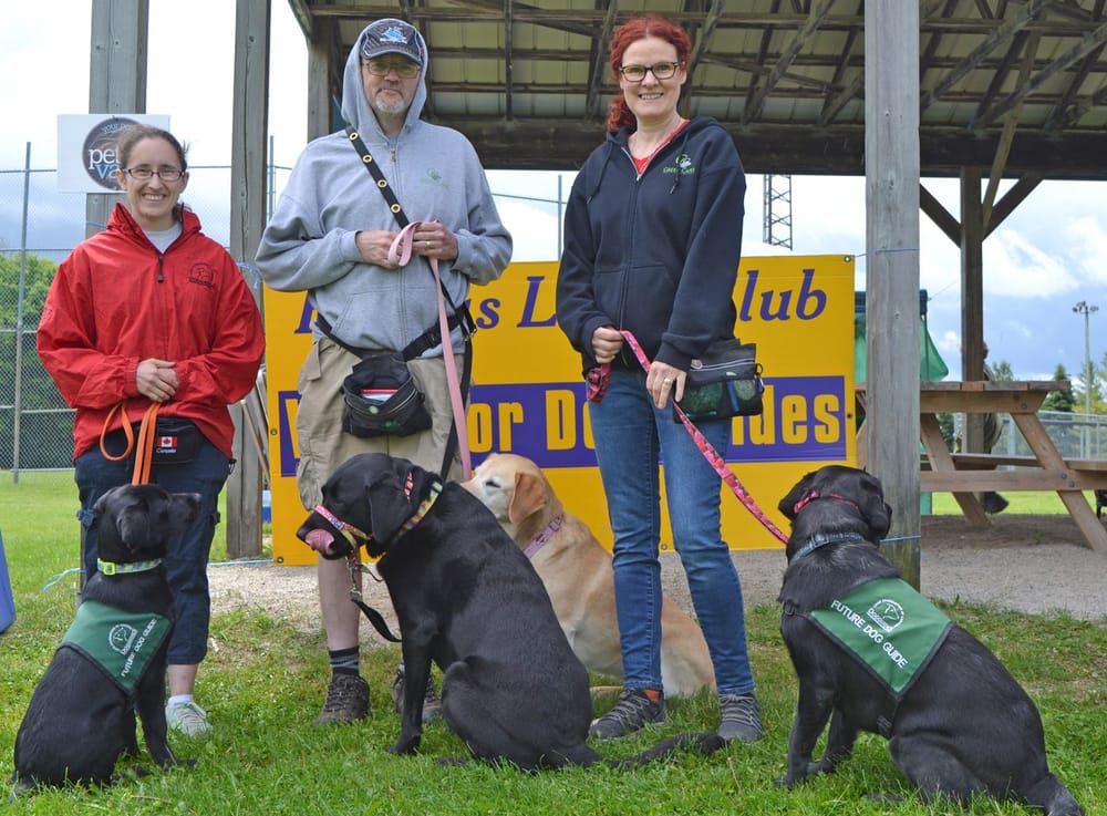 Pet Valu Walk for Dog Guides in Fergus raises over $11,000 post image