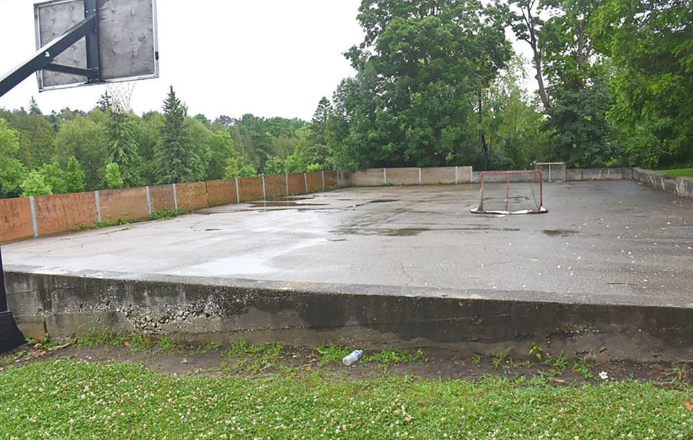 Council awards consulting contract to explore options for Bissell Park project post image