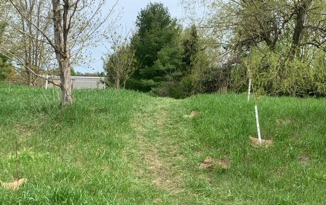 Erin resident outlines concerns with trail near Centre 2000 post image