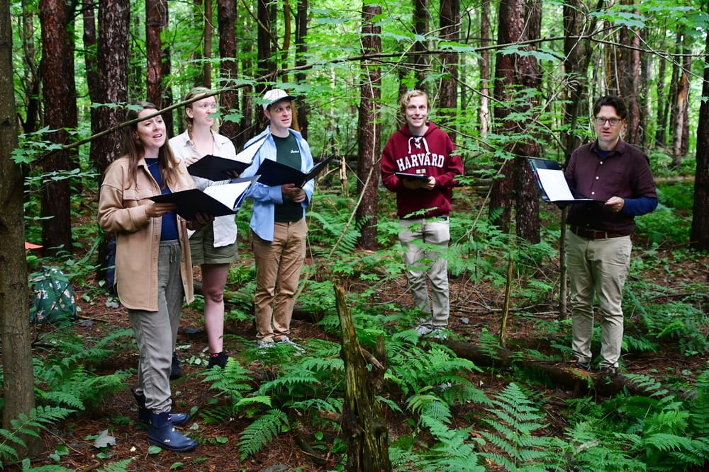 Elora Singers fill the woods with music post image