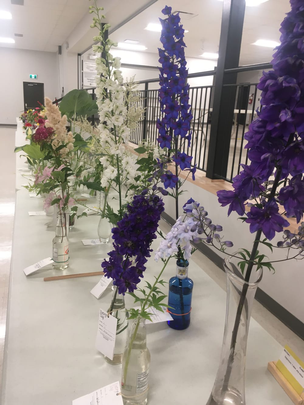 Mapleton Horticultural Society's summer flower show, a blooming success post image