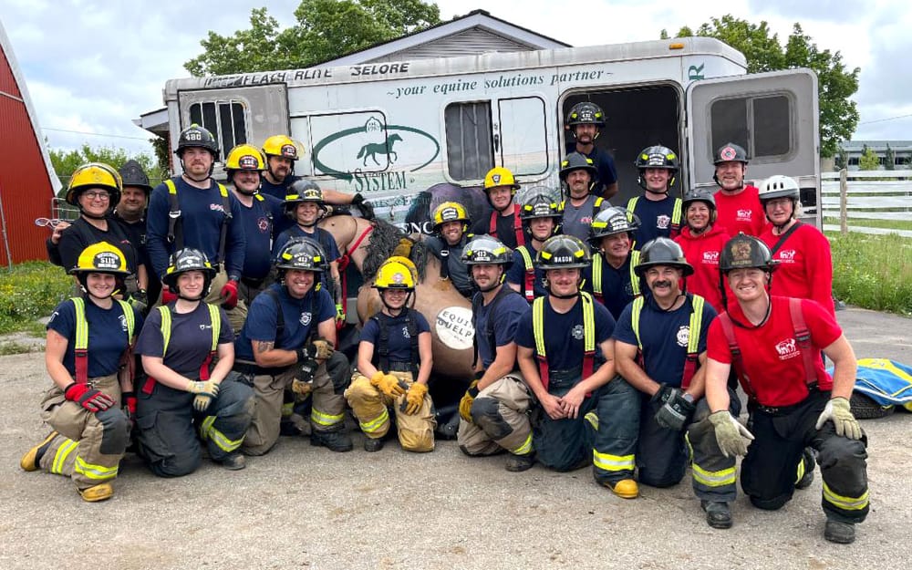 Large animal emergency rescue workshop post image