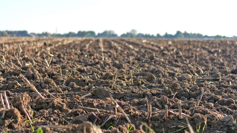 Farmers support Senate soil report recommendations post image